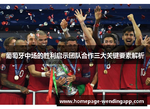 葡萄牙中场的胜利启示团队合作三大关键要素解析