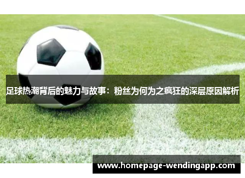 足球热潮背后的魅力与故事:粉丝为何为之疯狂的深层原因解析 足球热潮背后的魅力与故事:粉丝为何为之疯狂的深层原因解析