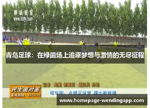 青岛足球:在绿茵场上追逐梦想与激情的无尽征程 青岛足球:在绿茵场上追逐梦想与激情的无尽征程