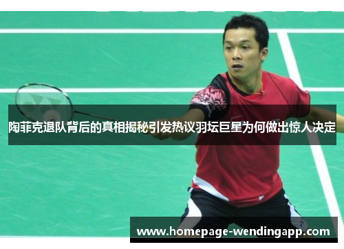 陶菲克退队背后的真相揭秘引发热议羽坛巨星为何做出惊人决定