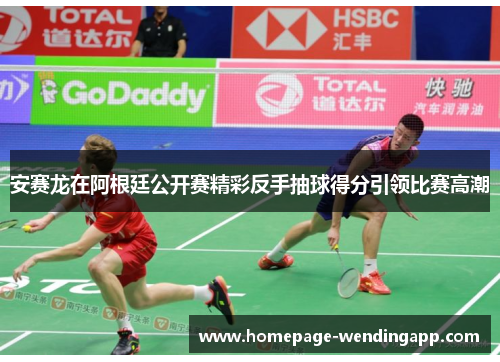 安赛龙在阿根廷公开赛精彩反手抽球得分引领比赛高潮