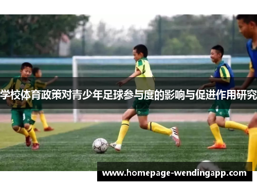 学校体育政策对青少年足球参与度的影响与促进作用研究