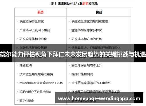 戴尔能力评估视角下拜仁未来发展趋势的关键挑战与机遇