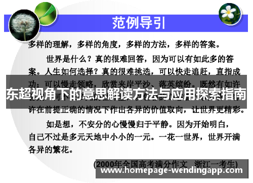 东超视角下的意思解读方法与应用探索指南