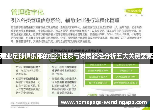 建业足球俱乐部的组织性质与发展路径分析五大关键要素