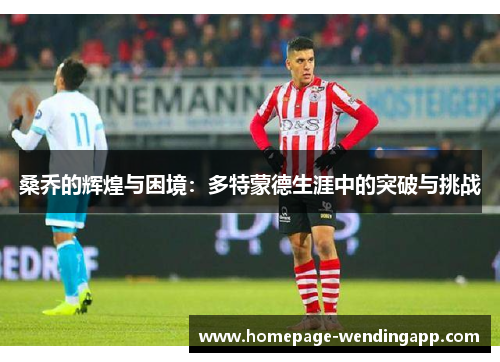 桑乔的辉煌与困境：多特蒙德生涯中的突破与挑战